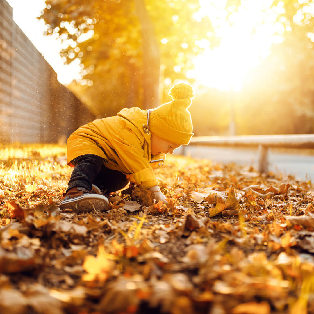 Fall Fun for Kids: Creative Activities for the Season