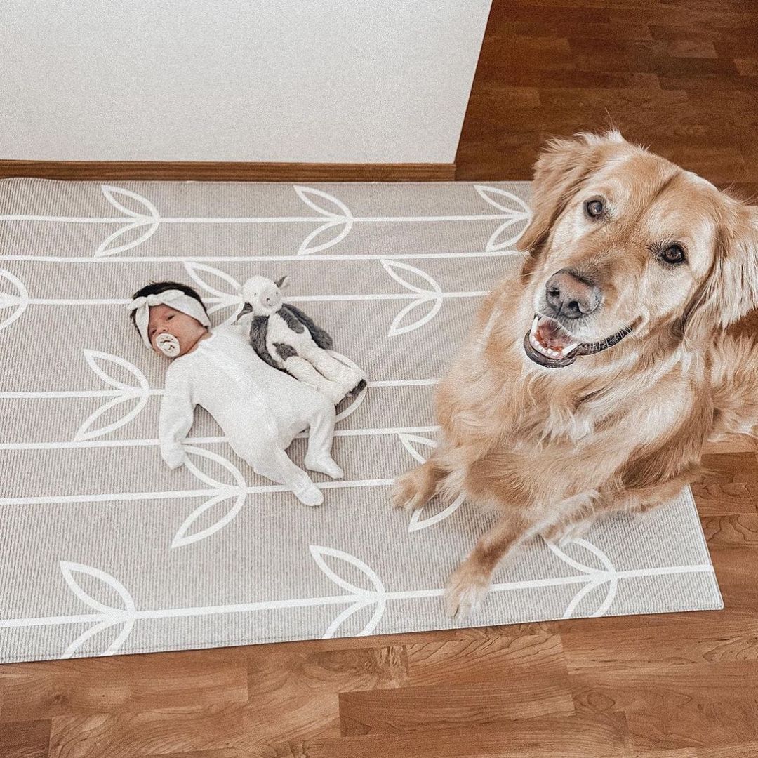 Dwingular Mat Top 7 Play Mat Questiones Answered – Dwinguler Canada